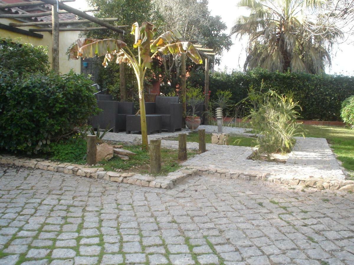 Quinta Da Sao Joao - Villa Oliveira Olhao Luaran gambar